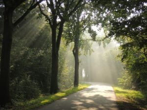 Zonnestralen die echt zichtbaar zijn.
