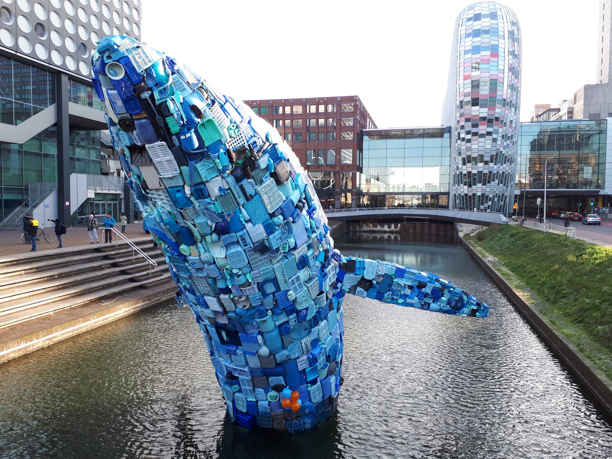 Walvis vraagt aandacht voor plastic Ruud's foto's
